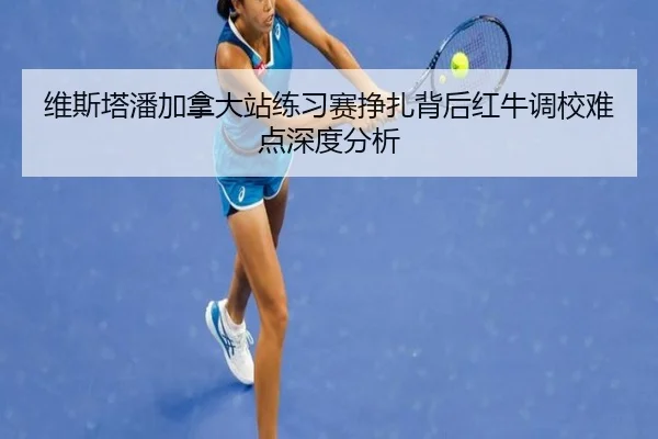 wei-si-ta-pan-jia-na-da-zhan-lian-xi-sai-zheng-zha-bei-hou-hong-niu-diao-xiao-nan-dian-shen-du-fen-xi-2-809.jpg